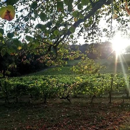 Chateau Regaldo-Saint Blancard Salleboeuf Εξωτερικό φωτογραφία