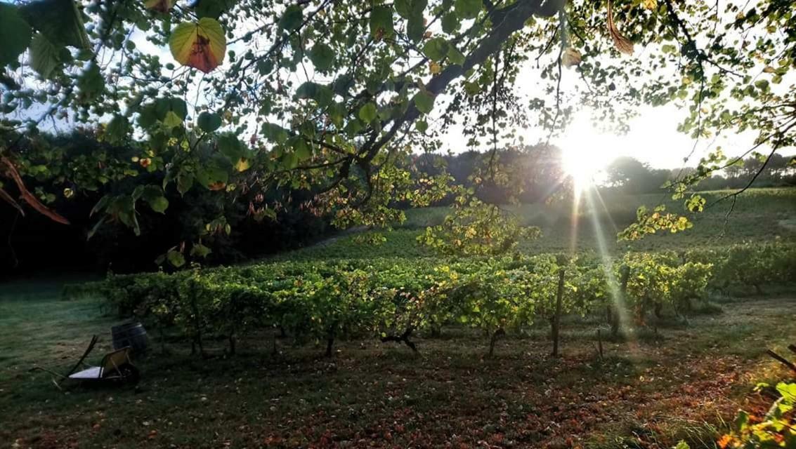 Chateau Regaldo-Saint Blancard Salleboeuf Εξωτερικό φωτογραφία
